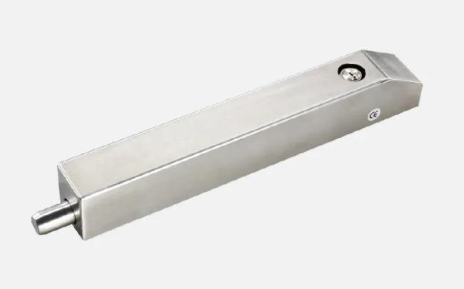 Elektrisch slot voor het vergrendelen van poortvleugel, 24V, inox 